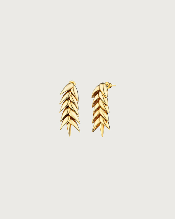 Bevza Collection