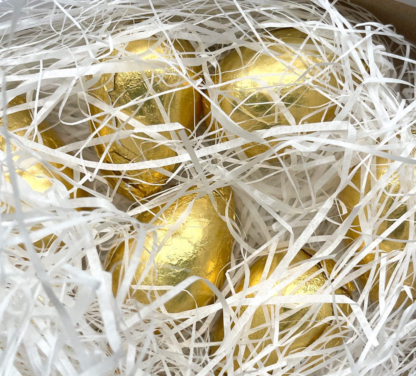 Golden Egg in the Nest