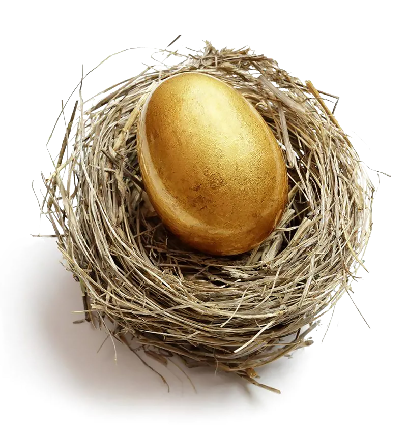 Golden Egg in the nest